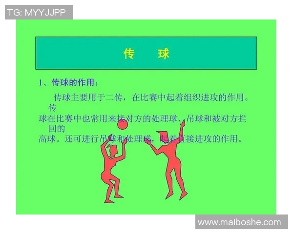 广州排球队整体压制战术解析与未来发展展望